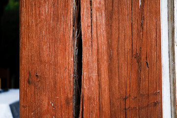 Wood texture. Rustic wood with some imperfections. Top view