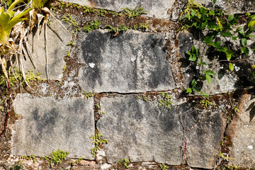 Stone texture. White with holes. Top view. Closeup