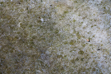 Stone texture. White with holes. Top view. Closeup