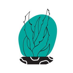 Home plants doodle design. Cactus in a pot. Vector illustration