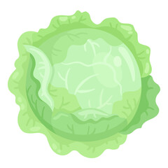 Fresh head of cabbage. In cartoon style. Isolated on white background. Vector flat illustration.