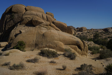 rocks in the desert