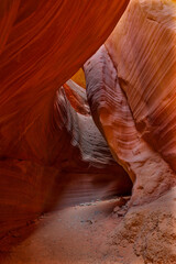 Twists and Turns in A Slot Canyon