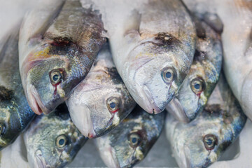 Fresh fish on ice at the fishmongers counter in a fish market.