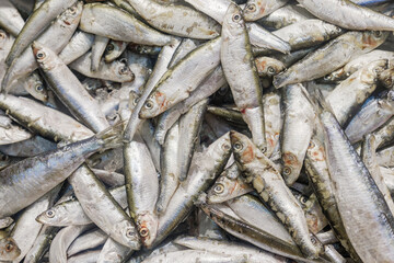 Fresh fish on ice at the fishmongers counter in a fish market.