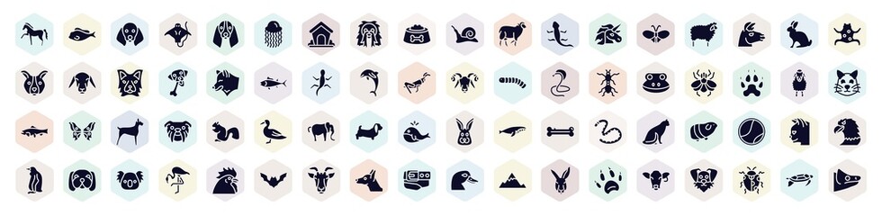 fauna filled icons set. glyph icons such as horse with leg up, dog with floppy ears, long haired dog head, unicorn, wolf head, big fly, elephant alone, cat head, belt and buckle icon.