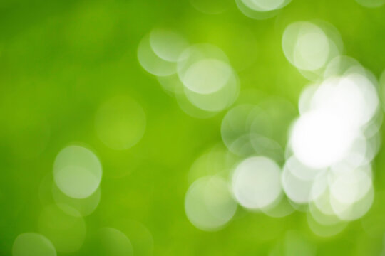Green Nature Blurred Background