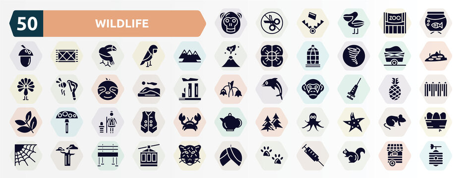 wildlife filled icons set. glyph icons such as orangutan, aquarium, mountains, wagon, dunes, vaccine, cleaner, octopus, baobab, pawprints icon.