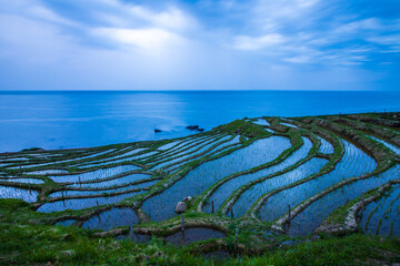 石川県　白米千枚田・風景
