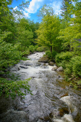 In summer, beautiful river in the Canadian forest in the province of Quebec