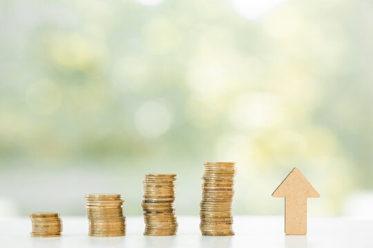 Growth money of profitability of professional investment planning, Business and finance concept.