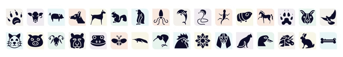 woof woof filled icons set. glyph icons such as animal paw print, pig with round tail, sitting squirrell, poisonous cobra, horse with leg up, farm pig, tiger head, sitting anteater, sitting cat,