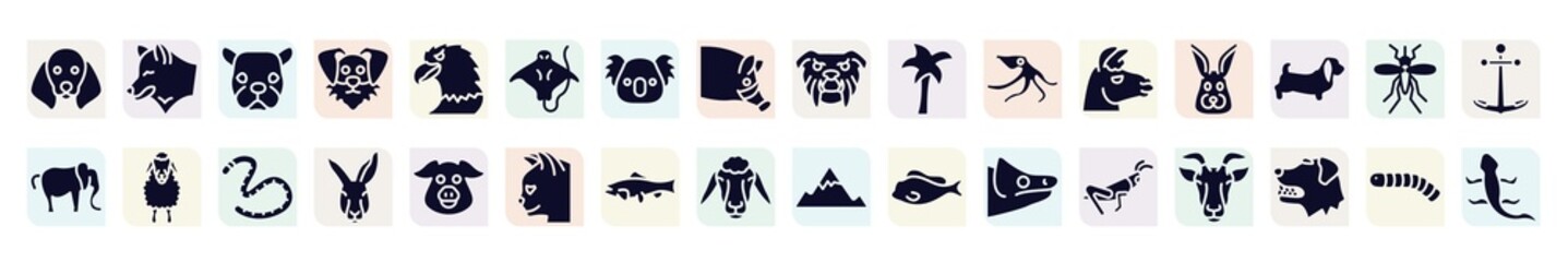 free animals filled icons set. glyph icons such as dog with floppy ears, face of staring dog, stingray with long tail, plain palm tree, rabbit head, sheep front view, kangaroo head, big salmon,