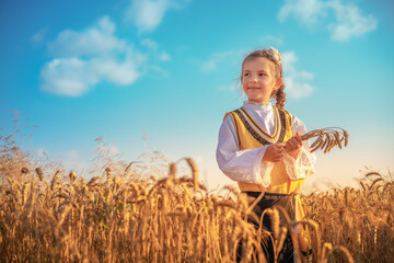 Young girl with traditional Bulgarian folklore costume at the agricultural wheat field during harvest time with industrial combine machine