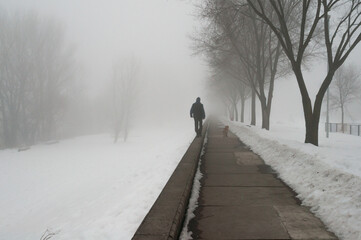 Fototapeta na wymiar Man and dog walking in snow on misty winter day