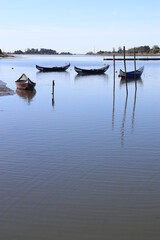 Barcos da ria de Aveiro