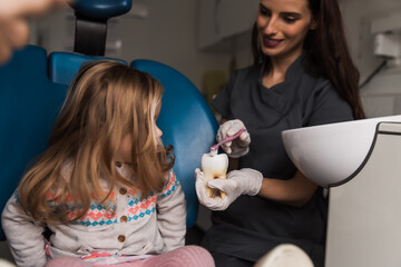 Smiling little girl in dentists chair, being educated about proper tooth-brushing by her paediatric...