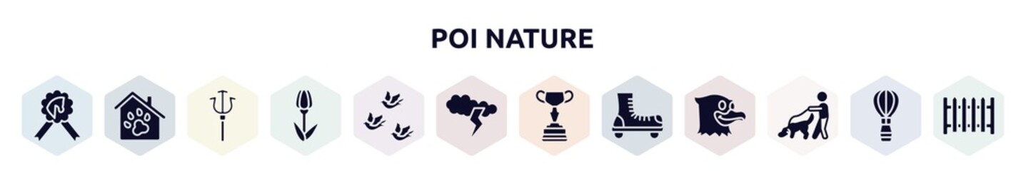 poi nature filled icons set. glyph icons such as horse race recognition ribbon, pet hotel, trident, tulips, birds group, cloud and lightnings, horses races trophy, roller skate, dog and a man,
