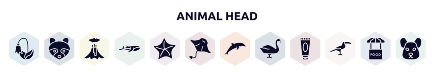 animal head filled icons set. glyph icons such as harebell, racoon, volcano, blue whale, starfish, manta ray, dolphin, swan, toucan icon.