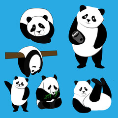 Set of big panda, flat design