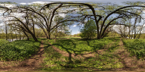 full seamless spherical 360 hdri panorama view on pedestrian walking path among poplar grove with clumsy branches near river in equirectangular projection with , ready VR AR content