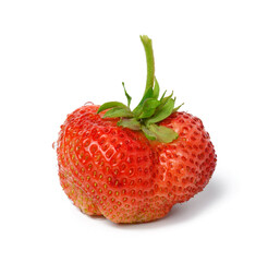 Whole red ripe strawberries with water drops isolated on white background