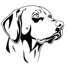 
Dog. Dog logo on a white background.