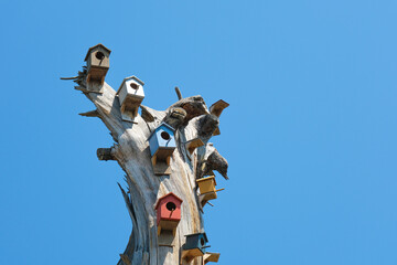 Colorful birdhouses and azure sky on a dry tree.