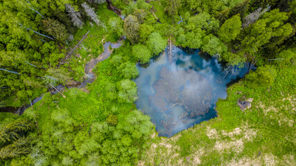 Aerial view of wild forest lake. drone photo - Powered by Adobe