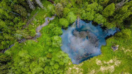 Aerial view of wild forest lake. drone photo