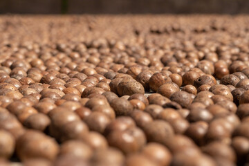 coffee beans close up, before toast
