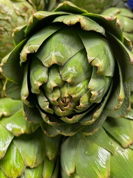 Artichoke  fresh close up in grocery display
