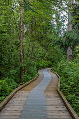 A wooden walking trail over a lake through a forest and a field against a cloudy sky in a natural park in the city of Richmond, British Columbia, Canada