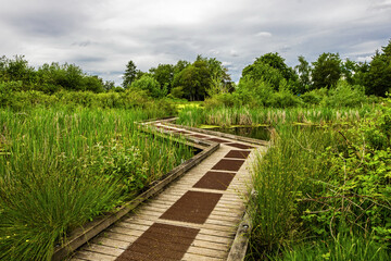 A wooden walking trail over a lake through a forest and a field against a cloudy sky in a natural park in the city of Richmond, British Columbia, Canada