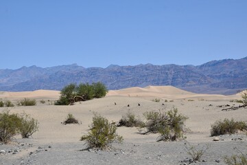 View from Mesquite Flat Dunes at Death Valley National Park in California