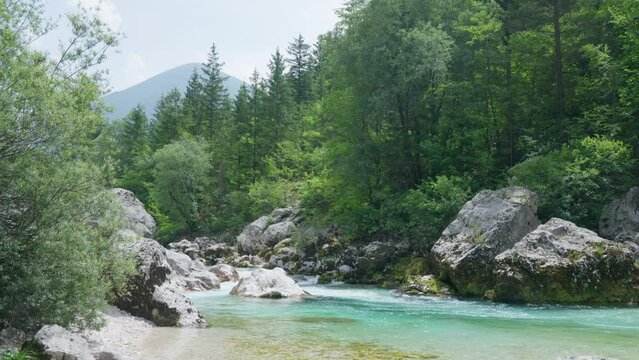 Turquoise river Soca and green forest in the mountains of Triglav national park. Bright sunny spring day.