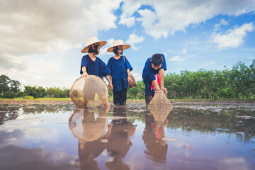 Children finding fish on tradition tool for catch fish in rice field of rural