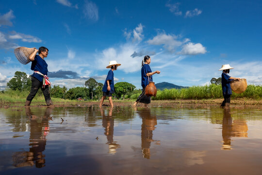 People family finding fish on tradition tool for catch fish in rice field of rural