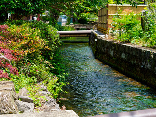 Fototapeta na wymiar 醒井宿を流れる地蔵川の風景