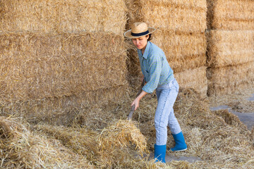 Naklejka na ściany i meble Portrait of asian woman farm employee in straw hat working on hayloft at cow farm