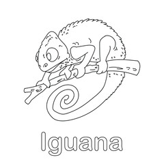 Iguana coloring page line art animal vector
