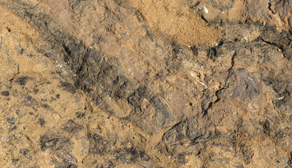 Rock plate. Colored stone surface. Wall of the house. Geology and Metamorphic rocks.