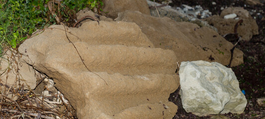 The wreckage of an ancient civilization on the Black Sea coast. Pieces of a colonnade made of shell...