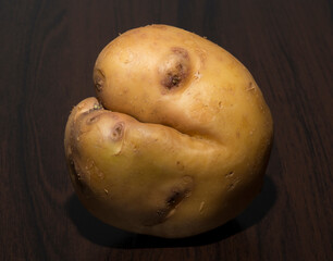 The potatoes are oddly shaped. An ugly root vegetable.