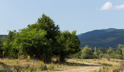 Obraz premium Panoramic terrain of southern Europe. Landscape of Bulgaria-mountains, fields, flora.
