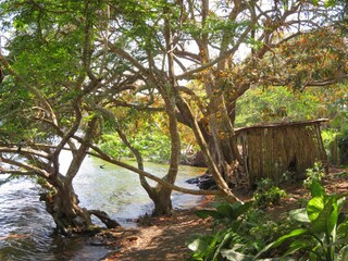 shaman wooden house by the Catemaco lake, veracruz, mexico