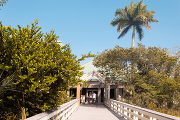 Fototapeta premium Two unrecognizable people at the end of a wooden path with greenery on both sides during a summer day