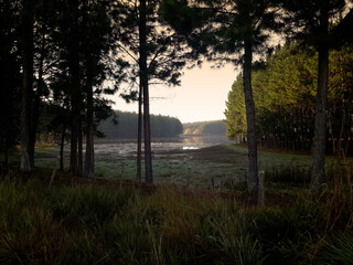 sunrise over the river in jaquirana , brazil