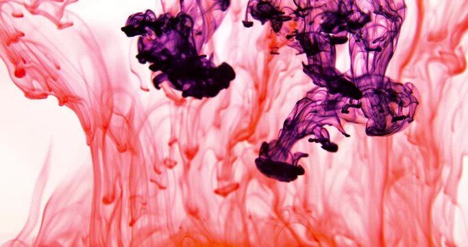 Color paint drops in water, abstract colour mix, drop of ink color mix paint falling on water Colorful paints splash swirling underwater. Colorful splash. Creativity and art.