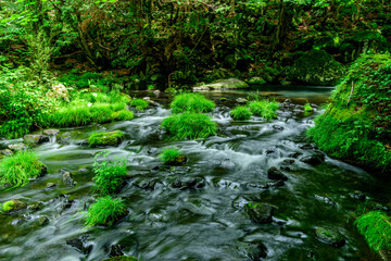 信州の蓼科高原にある滝の湯川に清流が流れます